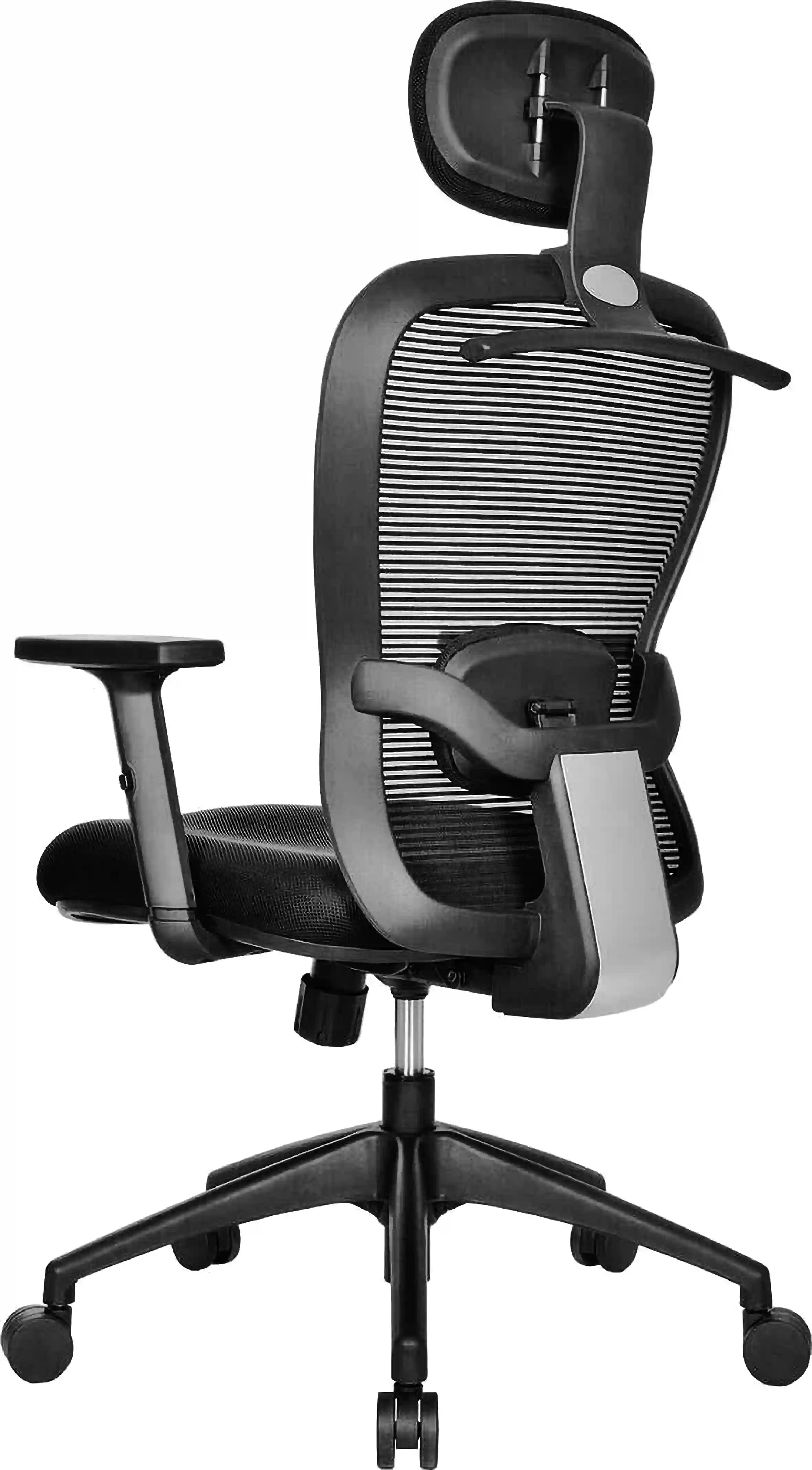 Management Chair-In black  gray  backrest color With Back View